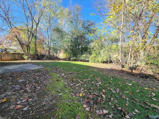 view of yard featuring a patio area