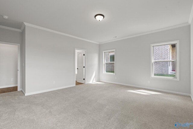 empty room featuring light carpet and crown molding