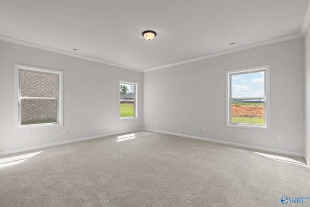 spare room featuring carpet floors, ornamental molding, and plenty of natural light