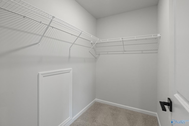 spacious closet with carpet flooring