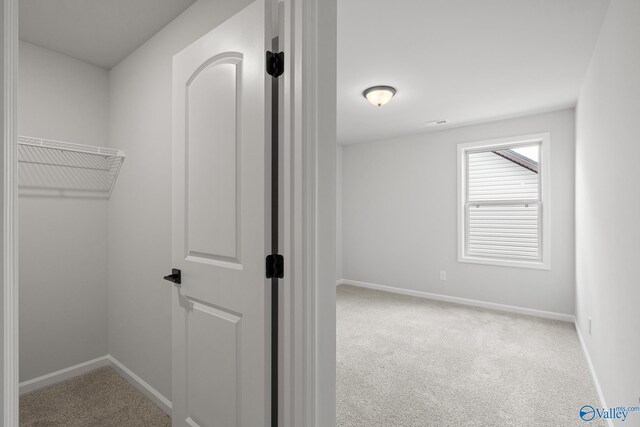 spacious closet with light carpet