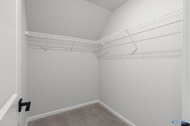 walk in closet featuring carpet