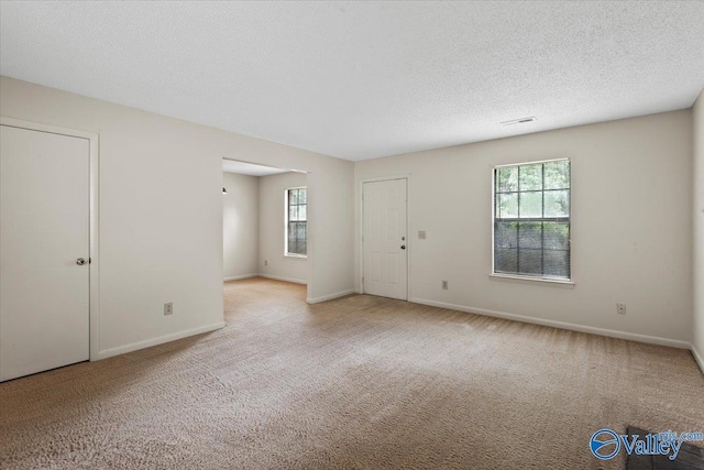 carpeted spare room with a textured ceiling and a healthy amount of sunlight