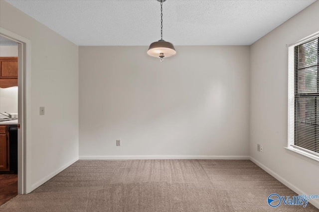 spare room with carpet flooring, sink, and a textured ceiling