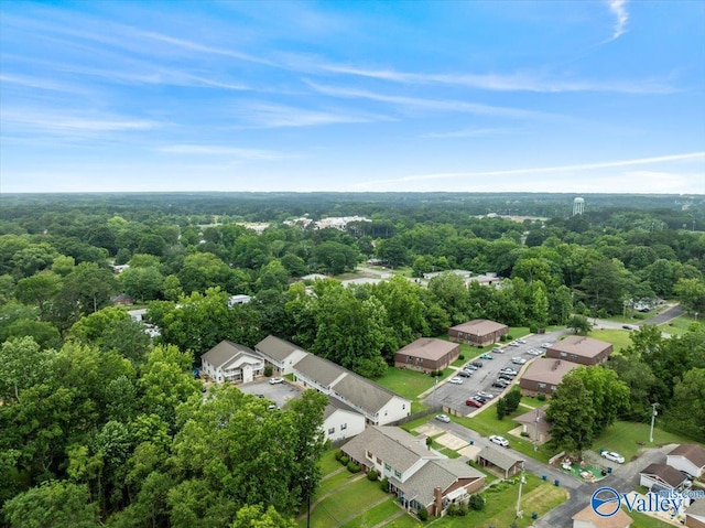 aerial view