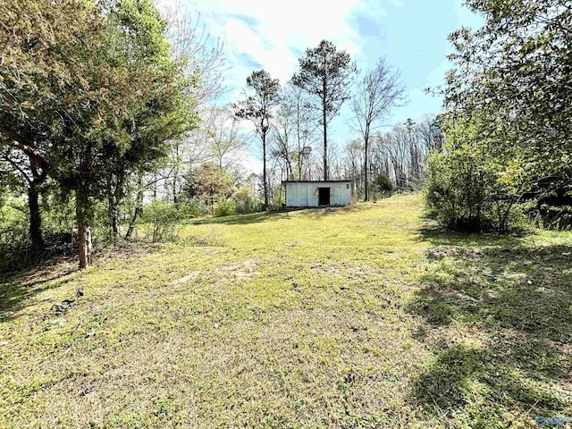 view of yard featuring an outbuilding
