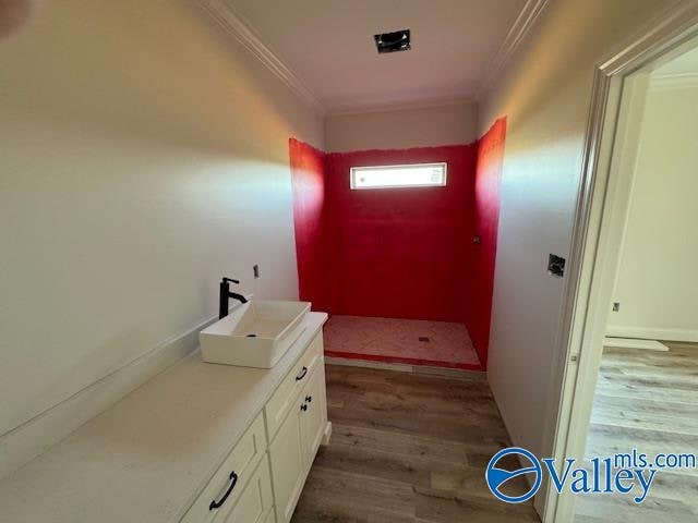 bathroom featuring vanity, hardwood / wood-style flooring, and ornamental molding