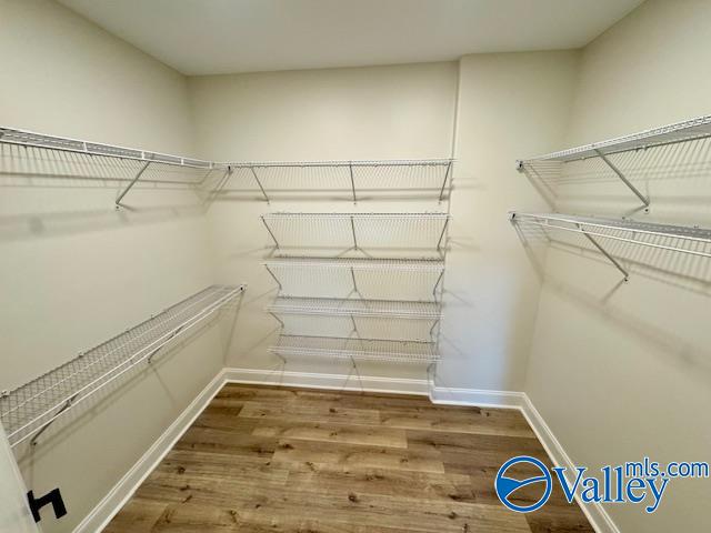 spacious closet featuring hardwood / wood-style floors