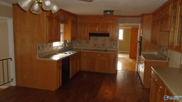 kitchen featuring dark hardwood / wood-style flooring, tasteful backsplash, a wealth of natural light, ceiling fan, and stovetop