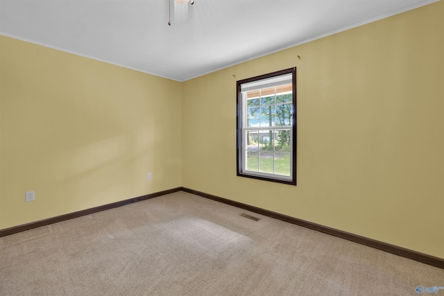 1073 6th St S, Sylvania, AL 35988 - carpeted empty room with baseboards and ornamental molding
