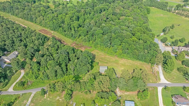 1073 6th St S, Sylvania, AL 35988 - view of property location with a forest