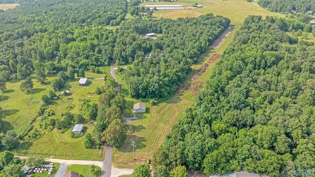 1073 6th St S, Sylvania, AL 35988 - aerial overview of property's location with a forest