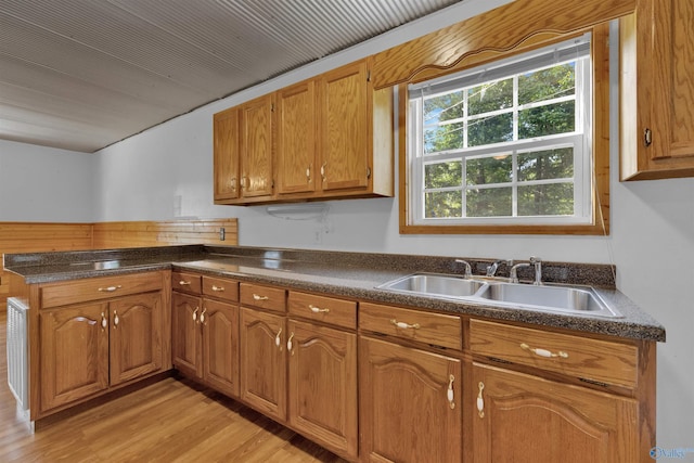 1073 6th St S, Sylvania, AL 35988 - kitchen featuring a peninsula, dark countertops, light wood-style floors, and brown cabinets