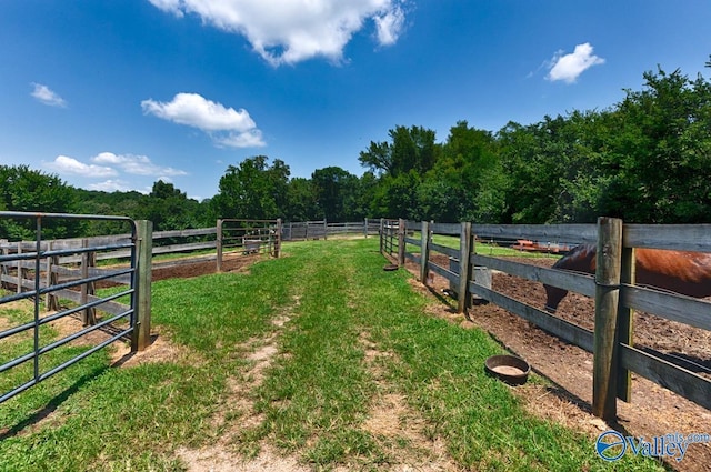 view of yard featuring a rural view