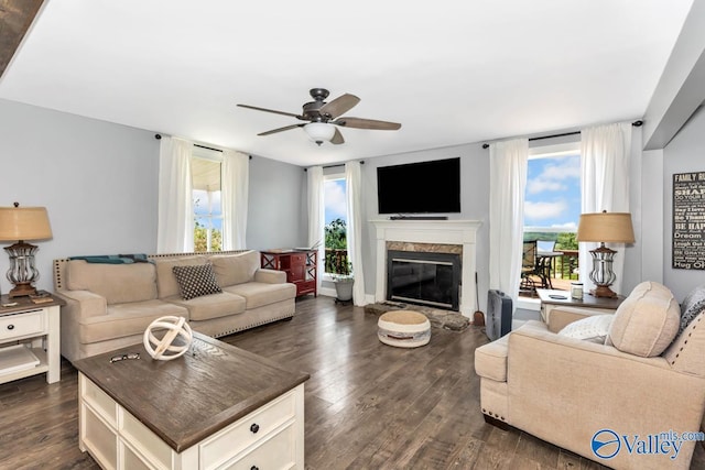 living room with a premium fireplace, ceiling fan, a wealth of natural light, and dark hardwood / wood-style flooring