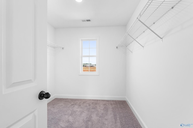 walk in closet featuring light carpet