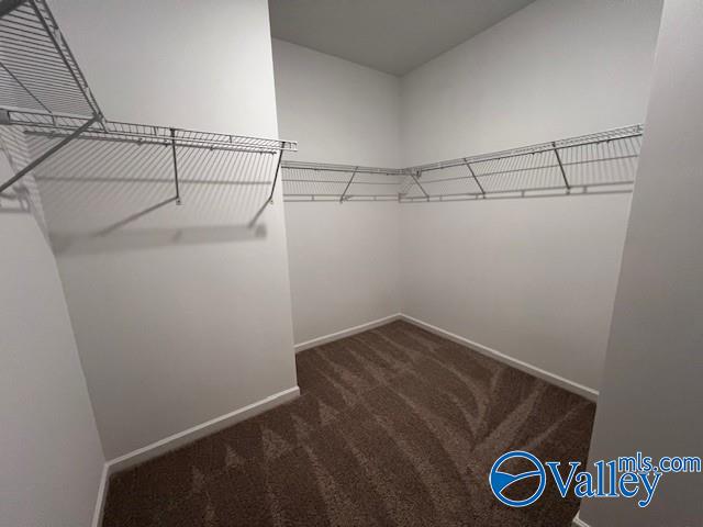 walk in closet with dark colored carpet