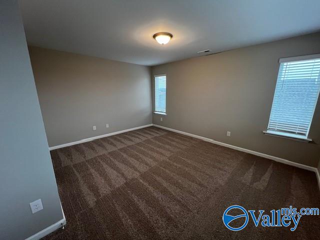 carpeted empty room with a wealth of natural light