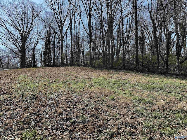 Listing photo 2 for 32ACRES N St, Guntersville AL 35976