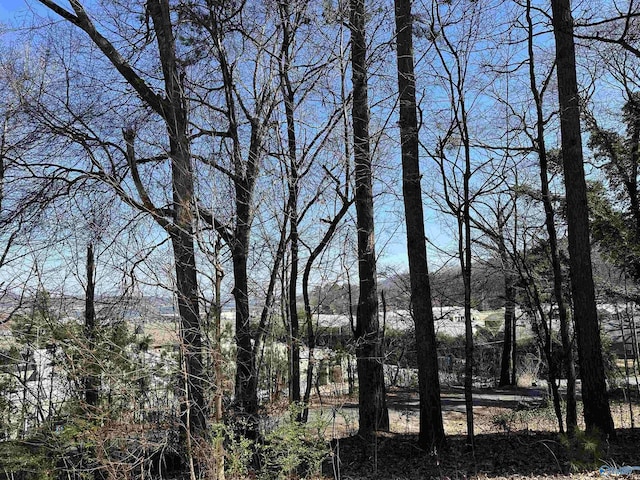 Listing photo 3 for 32ACRES N St, Guntersville AL 35976