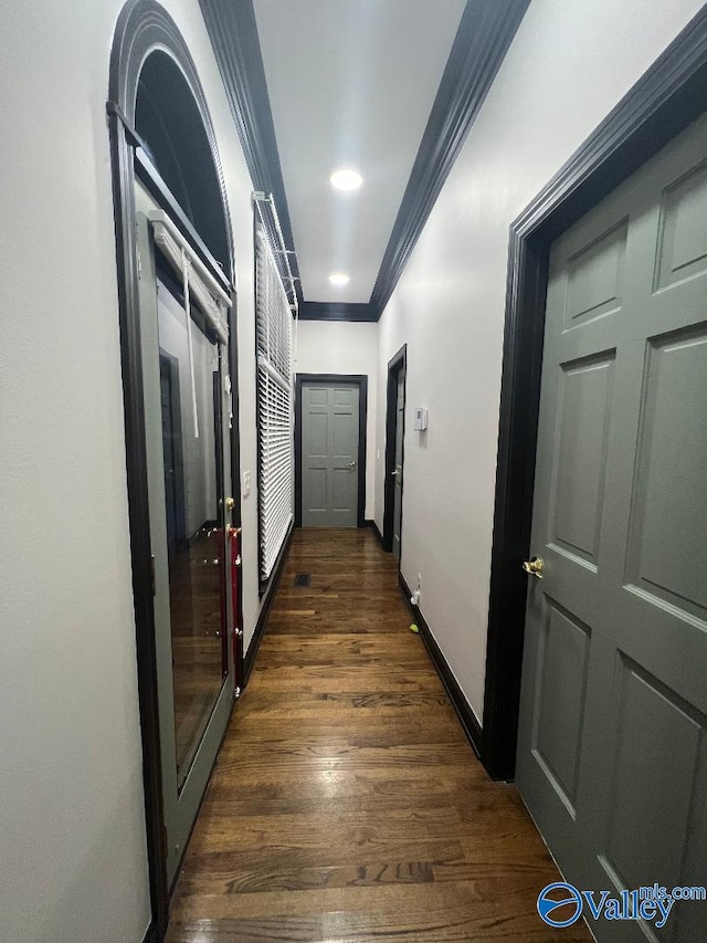 hallway with crown molding and dark hardwood / wood-style floors