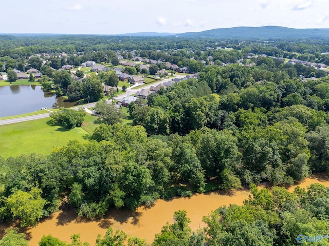 238 Riverwalk Trl, New Market, AL 35716 - bird's eye view of a nearby body of water