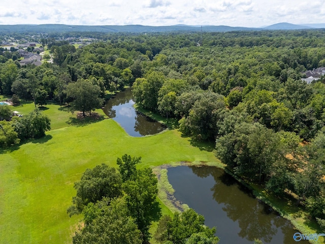 238 Riverwalk Trl, New Market, AL 35716 - bird's eye view of a large body of water