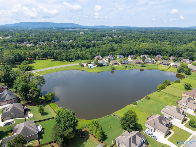 238 Riverwalk Trl, New Market, AL 35716 - aerial perspective of suburban area with a nearby body of water