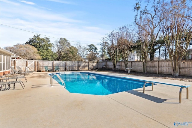 view of pool featuring a patio area and a diving board