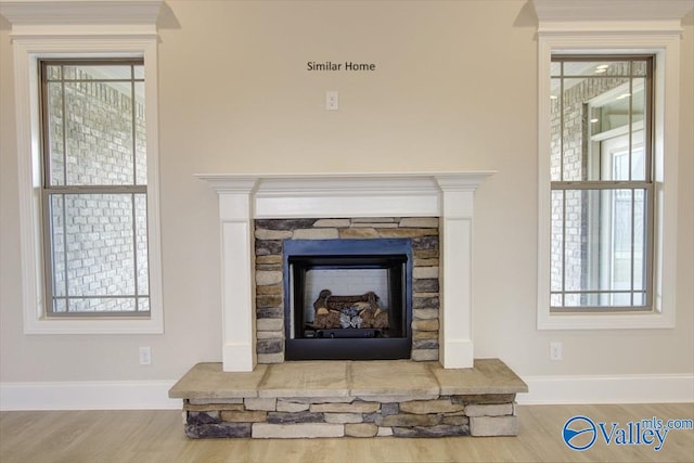 room details featuring wood-type flooring and a fireplace