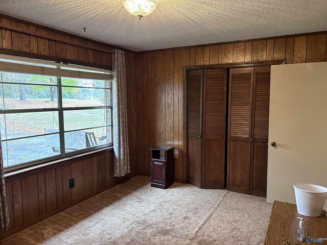 765 County Road 745, Cedar Bluff, AL 35959 - unfurnished bedroom with a textured ceiling, wood walls, and multiple windows