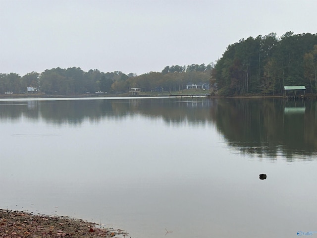 765 County Road 745, Cedar Bluff, AL 35959 - view of water feature with a forest view