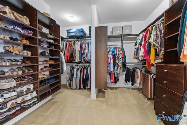 spacious closet featuring light colored carpet