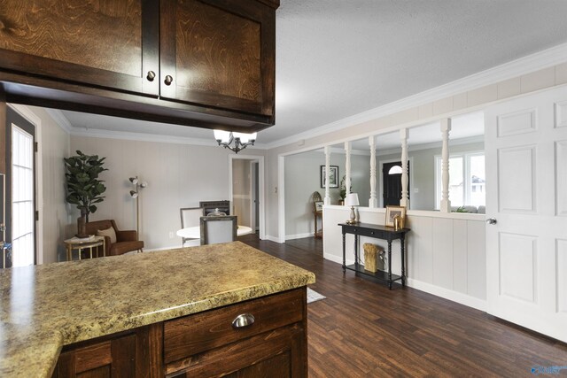 kitchen featuring dark brown cabinets, light countertops, dark wood-style flooring, and crown molding