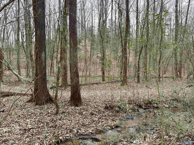 10 Holland Rd, Athens, AL 35614