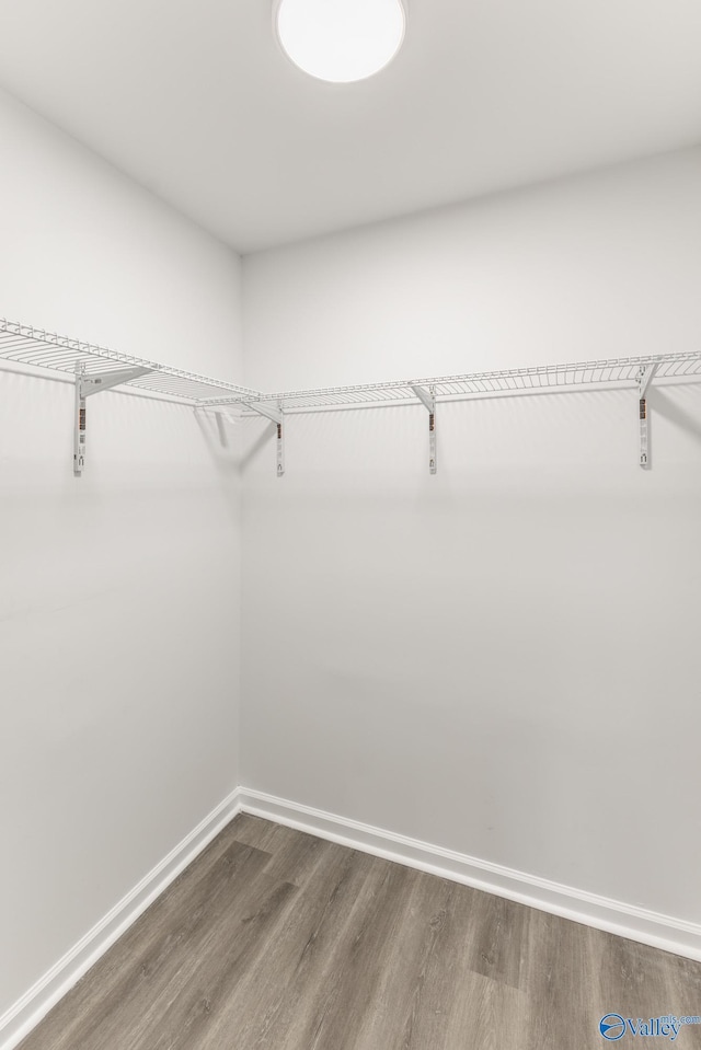 spacious closet featuring hardwood / wood-style flooring