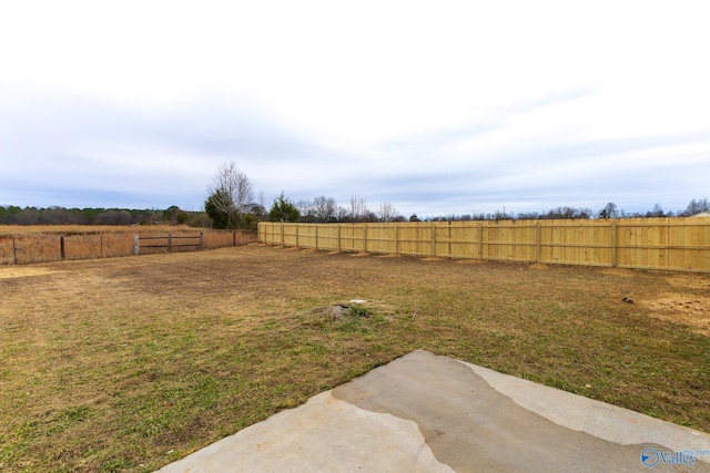 view of yard featuring a patio