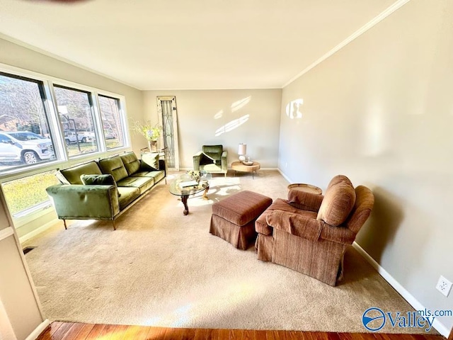 living room featuring crown molding and carpet