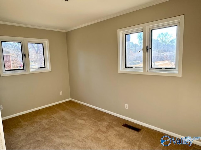 carpeted spare room with ornamental molding