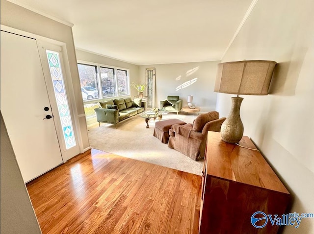 living room featuring light hardwood / wood-style flooring and ornamental molding