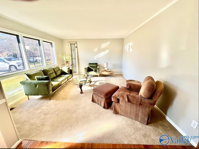 carpeted living room with crown molding