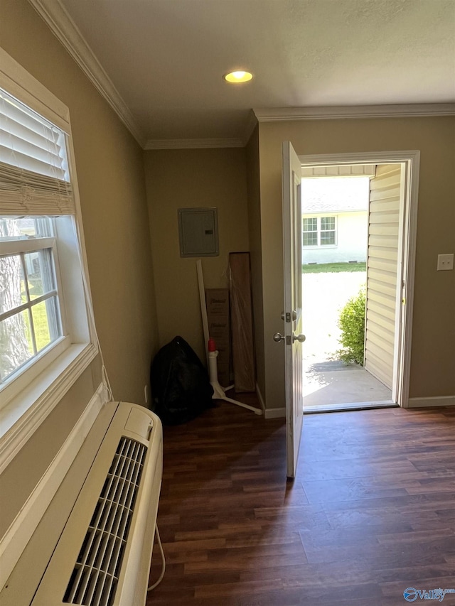 interior space featuring dark wood-style floors, crown molding, and a healthy amount of sunlight