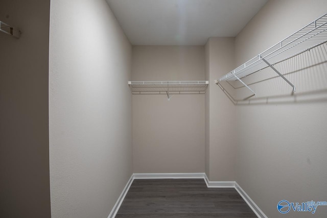 walk in closet featuring dark hardwood / wood-style floors