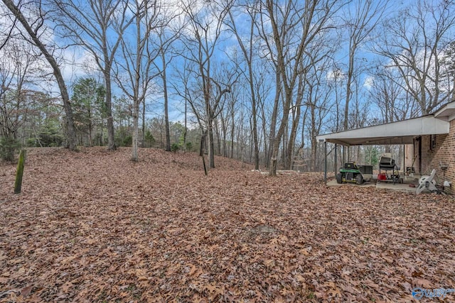 view of yard featuring a carport