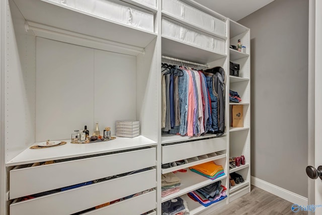 spacious closet with light wood-style floors