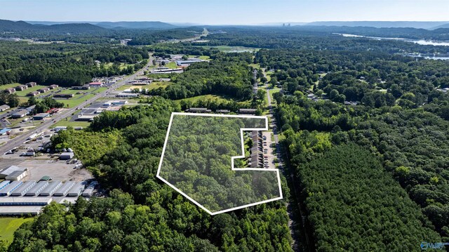 4ACRES Bob Jones Rd, Scottsboro, AL 35769