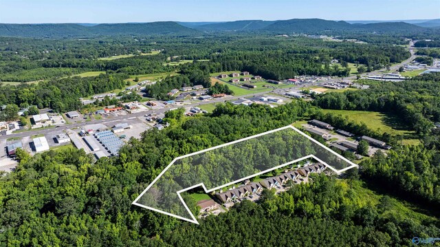 4ACRES Bob Jones Rd, Scottsboro, AL 35769