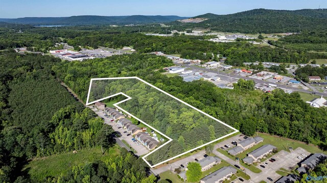 4ACRES Bob Jones Rd, Scottsboro, AL 35769