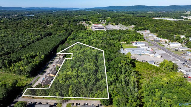 4ACRES Bob Jones Rd, Scottsboro, AL 35769