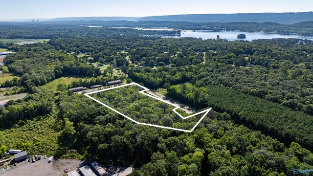 4ACRES Bob Jones Rd, Scottsboro, AL 35769